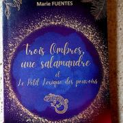 Trois Ombres, une salamandre et Le Petit Lexique des pouvoirs - 1ère de couverture